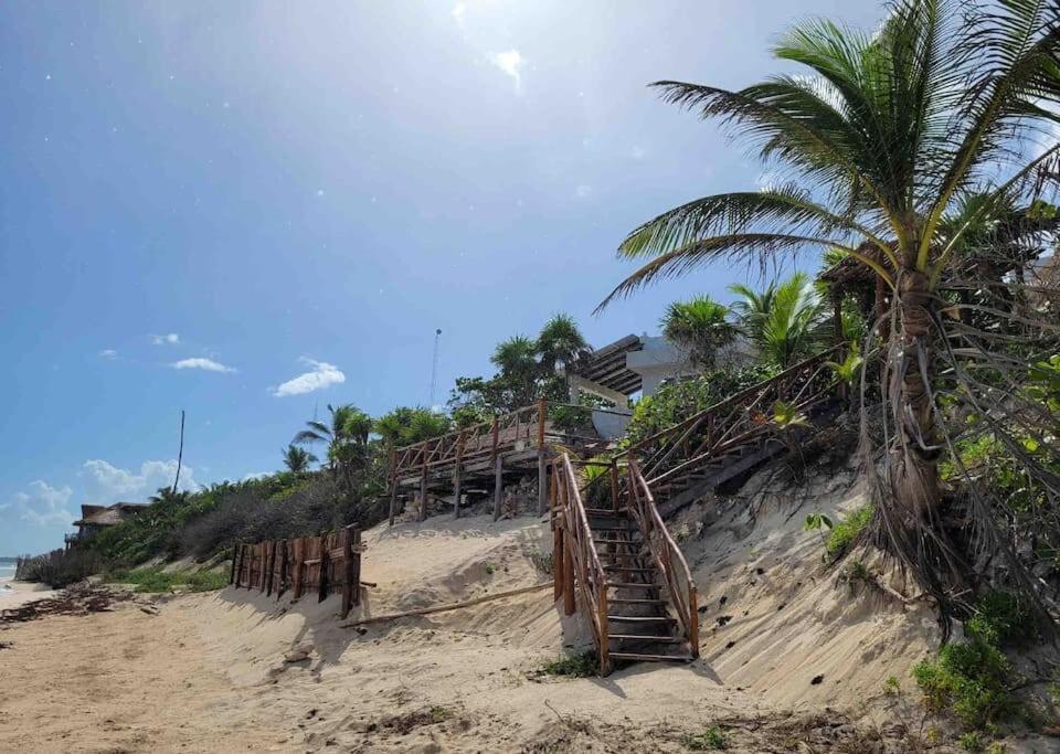 Luxury 5-Br Beachfront Home In Tulum Casa Sofia Gato Exterior photo